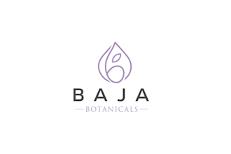 design a boho hand drawn minimalist botanical logo