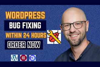 fix wordpress issues wordpress bug fix wordpress website fix wordpress error