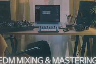 professionally mix and master your edm track