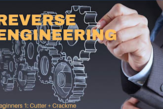 reverse engineer dll, exe or binary analysis unpack, debug, decompile, recompile