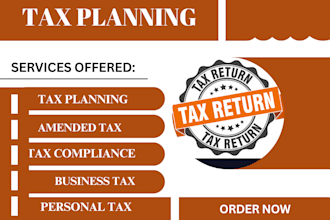 do US tax filing, tax planning, perfect tax preparation and sales tax filing