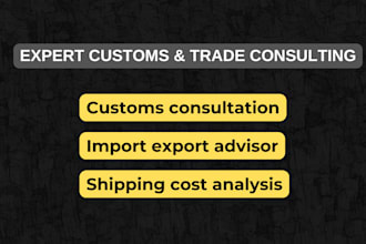 consult on customs, shipping, import export and logistics strategy