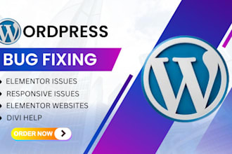 do wordpress bug fix, fix wordpress issue