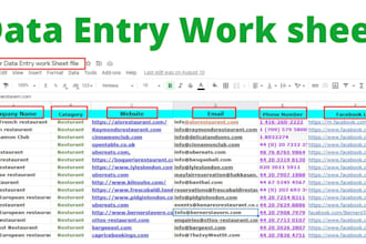 be your reliable data entry operator and typist