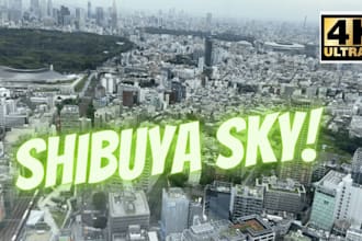 book shibuya sky ticket, ghibli park ghibli museum, teamlab planet, pokemon cafe