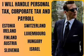 handle personal tax, corporate tax, and payroll for US, UK, de, hu, ae, lu, ee