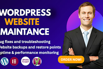 provide monthly wordpress maintenance, updates, support and bug fixes