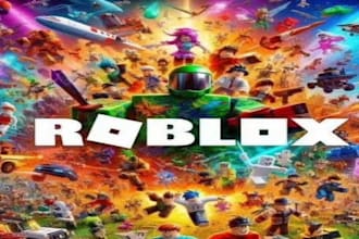 be a professional roblox scripter for your roblox game