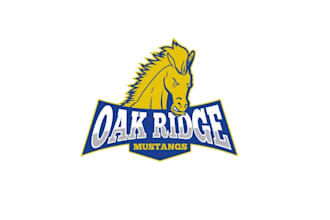 design fresh look elementary school logo