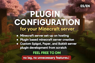 code your dream minecraft smp, spigot, bukkit or paper server plugin