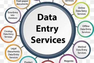 do fast data entry typing work job, copy paste, excel data entry