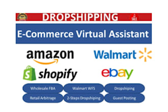 grow your amazon, ebay, walmart dropshipping business with oa strategy