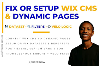 fix or setup wix cms wix dynamic pages wix database wix dataset and wix velo