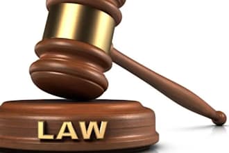 do legal consulting investments assets criminal civil immigration USA