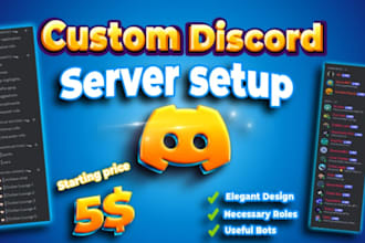 setup custom discord server within 24 hours