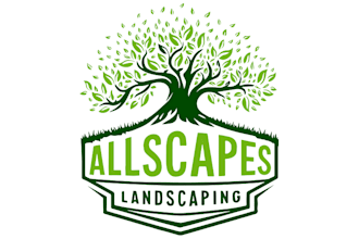 design a unique and professional landscape logo