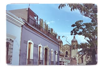 teach you analog photography step by step