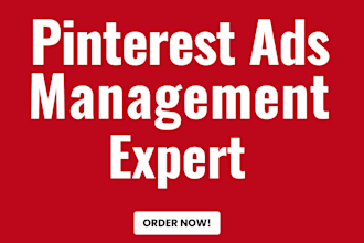 be your pinterest ads management expert