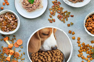do advanced pet care and pet food and supplement formulation for your business