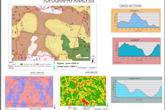 do professional gis spatial analysis, remote sensing