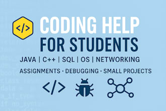 help with programming assignments, debugging, and small coding projects