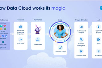 implement salesforce data cloud for your business