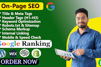 expert in on page SEO optimization for wordpress  shopify wix