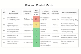 create a professional internal audit plan, risk matrix, and report template