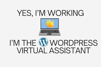 upload SEO content, publish blog posts as your wordpress VA