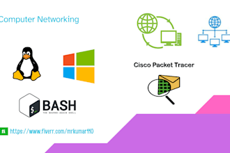 do computer networking tasks, projects, and network configuration