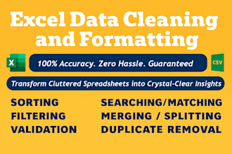 excel data cleaning, deduplication and formatting in 2 hours
