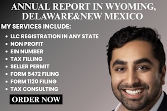 file your USA llc annual report and reinstate in new mexico wyoming delaware