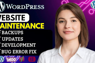be your wordpress maintenance expert for support, updates and fixes