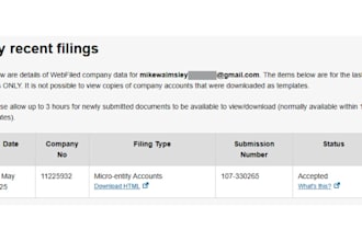 do accounts, ct600, vat and satr submission to companies house and hmrc