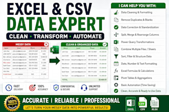 clean, format and organize your excel or CSV data