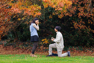 photograph your proposal and engagement portraits in london