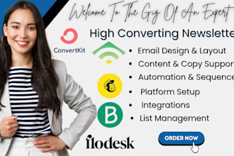 create high converting email newsletter using flodesk, mailchimp, klaviyo, brevo