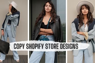duplicate clone copy rewamp design replicate redesign shopify store
