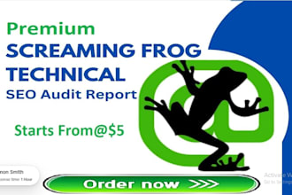 premium screaming frog technical SEO spider audit report