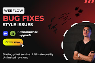 fix webflow bugs, fix webflow issues and style issues, ecommerce bugs