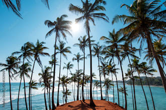 plan a custom sri lanka travel itinerary for you