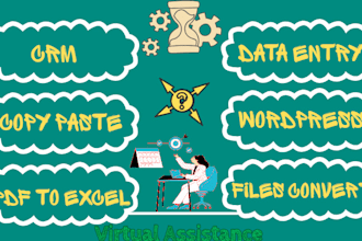 deliver you data entry, wordpress and CRM related services