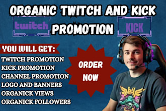 design professional logo banner for twitch kick