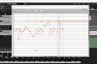 do professional vocal editing , tuning and mixing