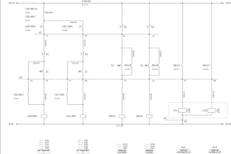 develop a professional electrical schematic for you