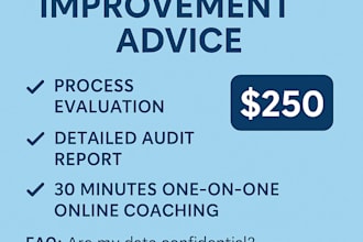 audit your scrum team and create action plan and identify gaps plus improve flow