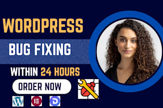 fix wordpress issue wordpress bug fix wordpress website fix wordpress error