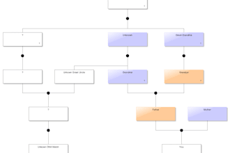 research your ancestry for you
