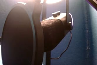 voice your scripts for you with no nsfw