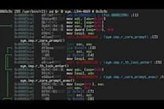 crack ea, decompile any forex ea file, unlock and indict source code,